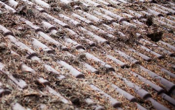 Roehampton roof cleaning companies